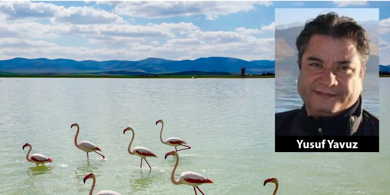 Seyfe Gölü’ne Ölümcül Kıskaç!