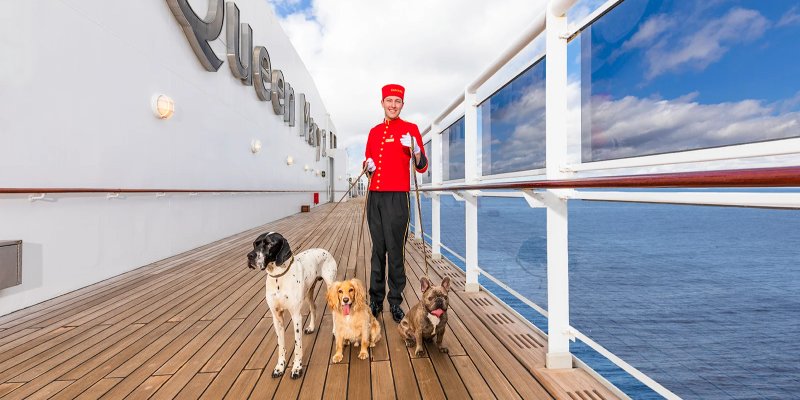 Kruvaziyer Tatilinde Köpekler de Misafir: Hangi Şirketler İzin Veriyor?