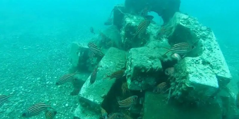 Antalya’da Deniz Altı Yaşamının Röntgeni Çekiliyor